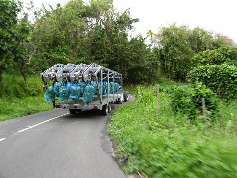 Martinique 22.JPG